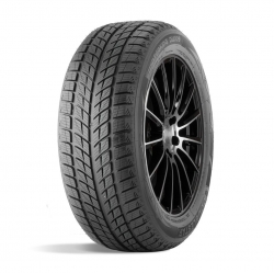 235/55R17 99T DOUBLESTAR DW09