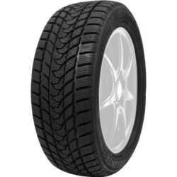 225/45R17 94T DELINTE Winter WD1 