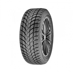 245/45R18 100V DELINTE Winter WD6 