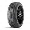 275/50R20 113T DOUBLESTAR DW02