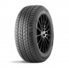 235/55R17 99T DOUBLESTAR DW09