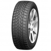 215/45R17 91H DOUBLESTAR DW09